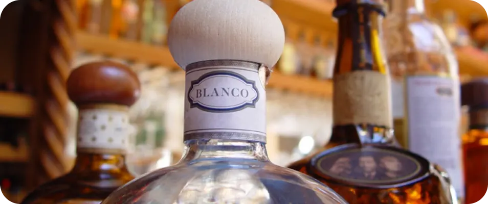 Tequila a fondo, todo sobre el tequila