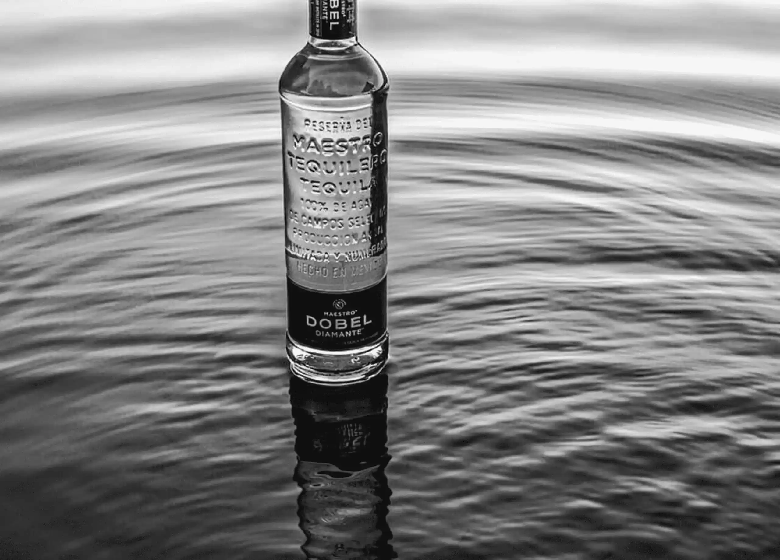 Tequila a fondo, todo sobre el tequila