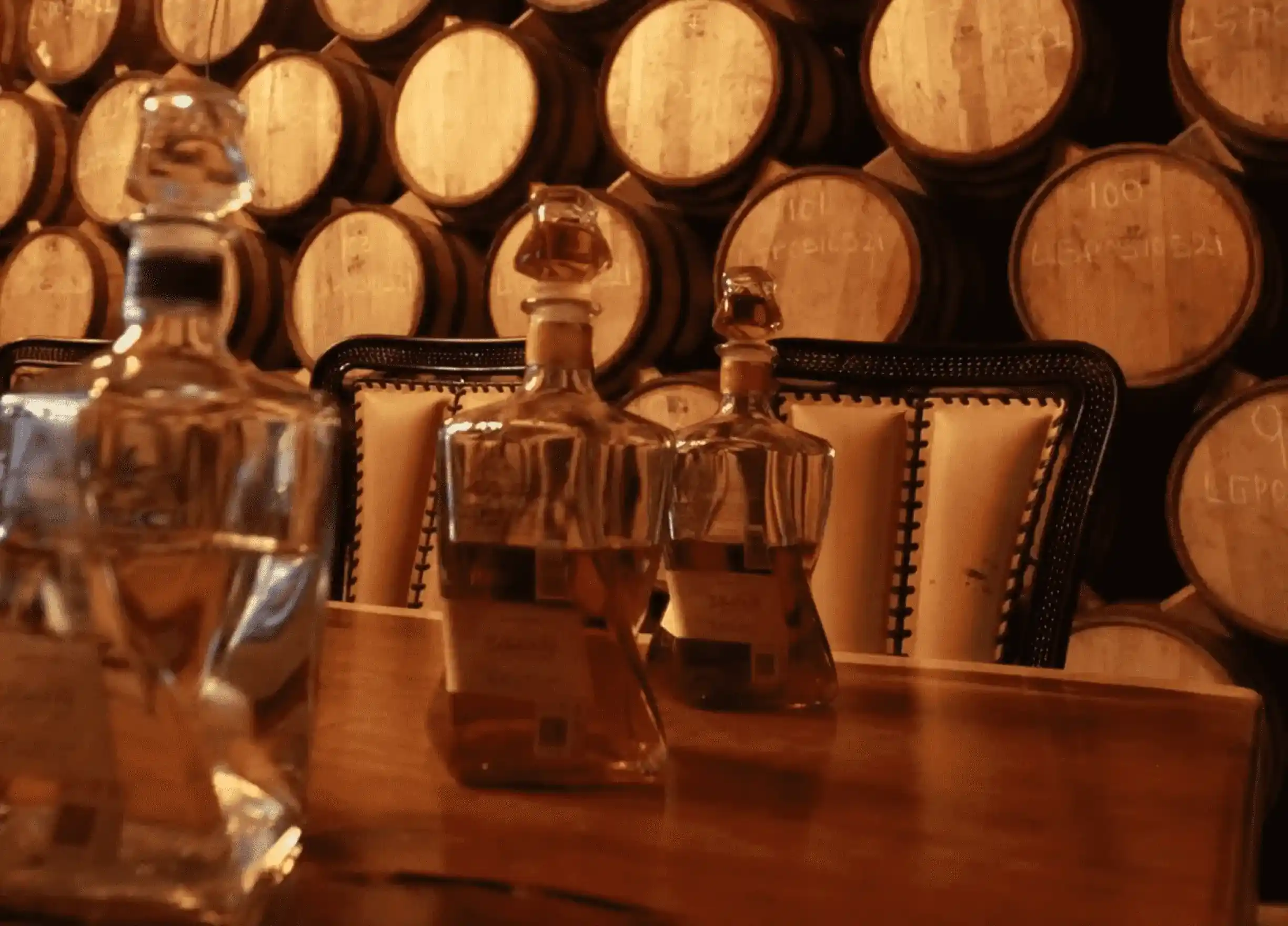Tequila a fondo, todo sobre el tequila
