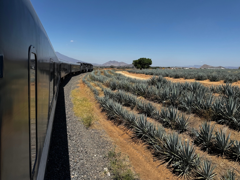 Tren a tequila, viajen en tren